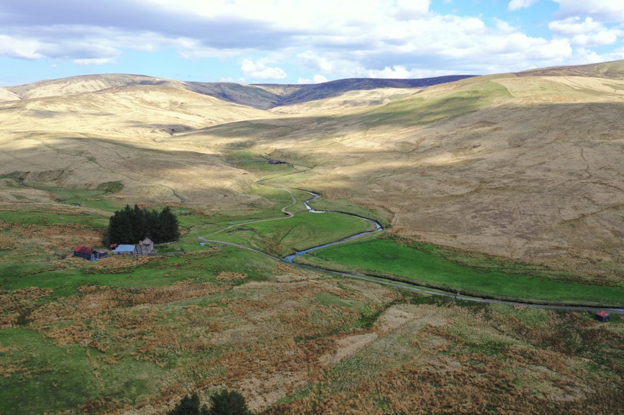 Langholm Moor